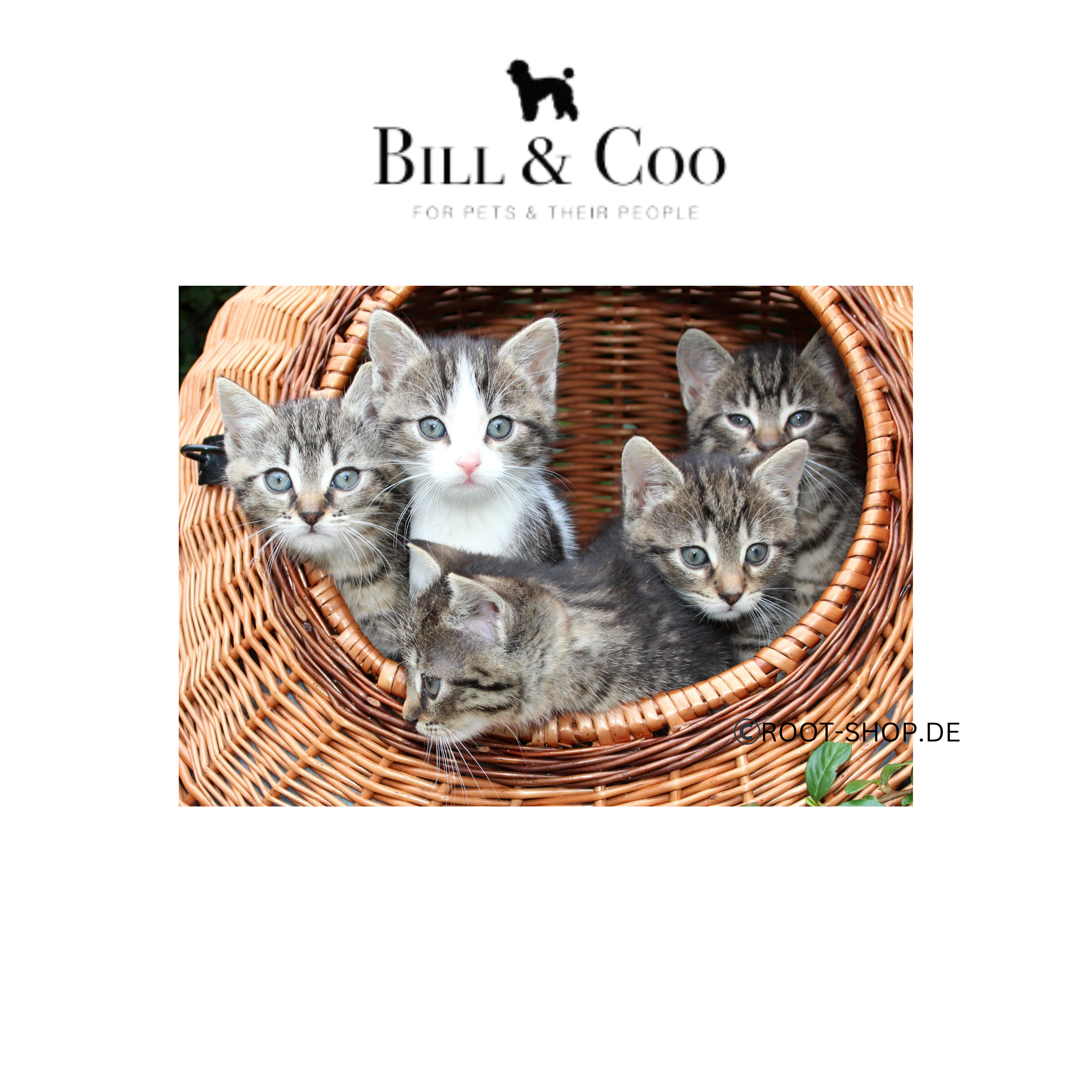 BILL & COO Defend your Pet